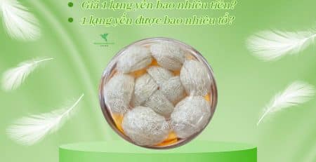 1 lạng yến bao nhiêu tiền