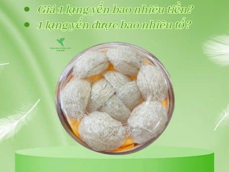 1 lạng yến bao nhiêu tiền