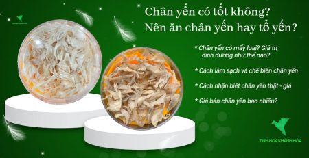 chân yến có tốt không