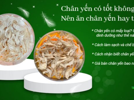 chân yến có tốt không